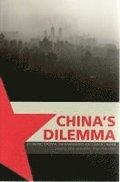 China's Dilemma: Economic Growth, the Environment and Climate Change