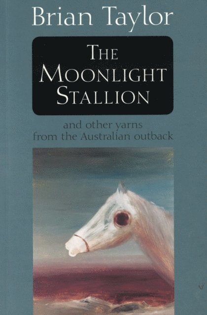 Brian Taylor - Moonlight Stallion, E-bok