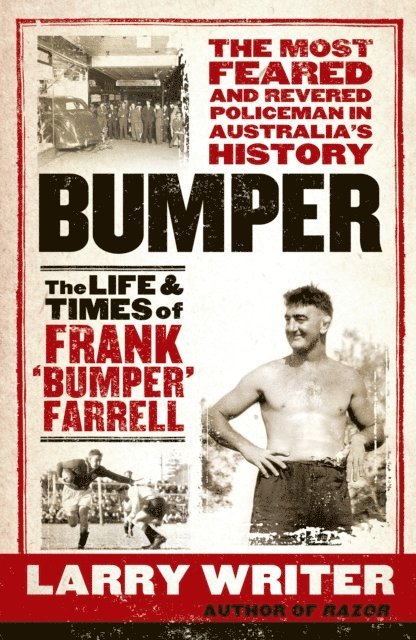 Larry Writer - Bumper, E-bok