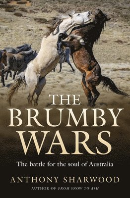 Anthony Sharwood - Brumby Wars, Häftad