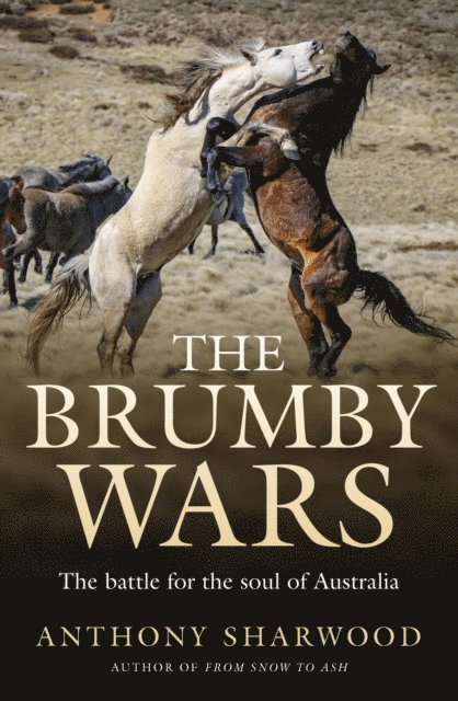 Anthony Sharwood - Brumby Wars, E-bok