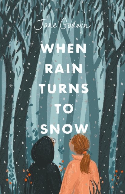 Jane Godwin - When Rain Turns to Snow, E-bok