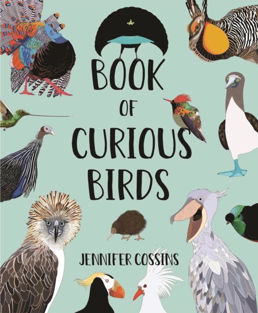 Jennifer Cossins - Book of Curious Birds, E-bok