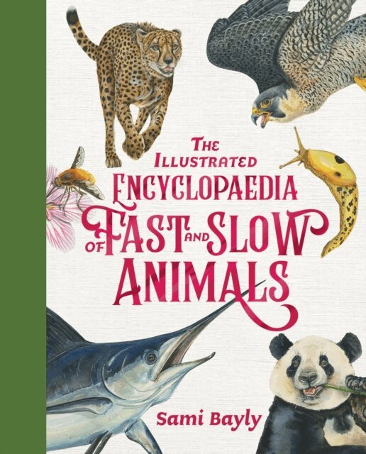 Sami Bayly - Illustrated Encyclopaedia of Fast and Slow Animals, E-bok