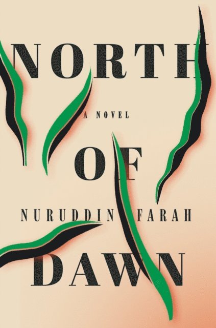 Nuruddin Farah - North of Dawn, E-bok
