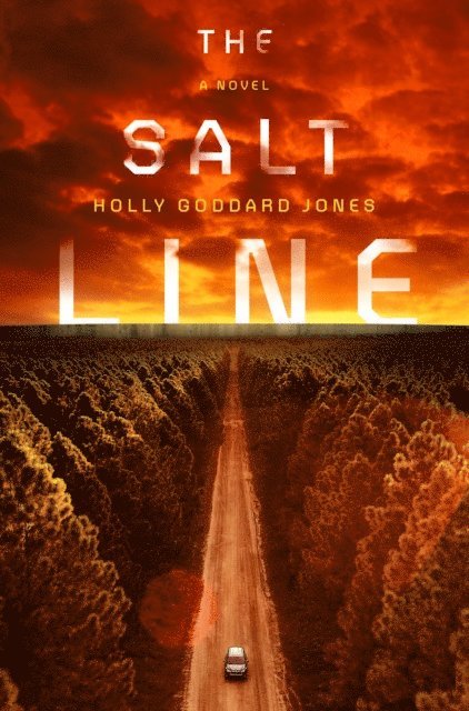 Holly Goddard Jones - Salt Line, E-bok