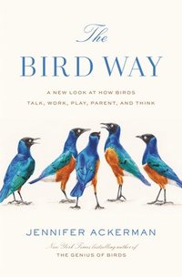 Bird Way