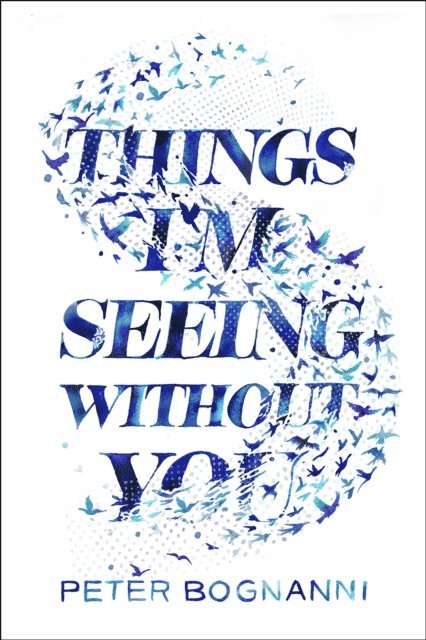 Peter Bognanni - Things I'm Seeing Without You, E-bok