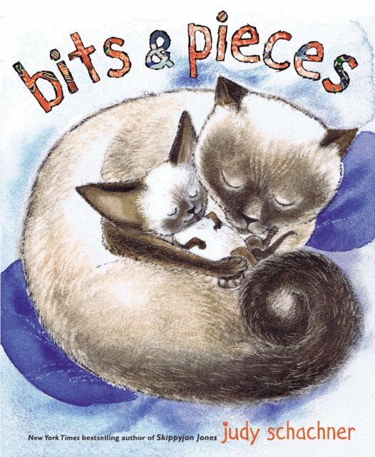 Judy Schachner - Bits & Pieces, E-bok