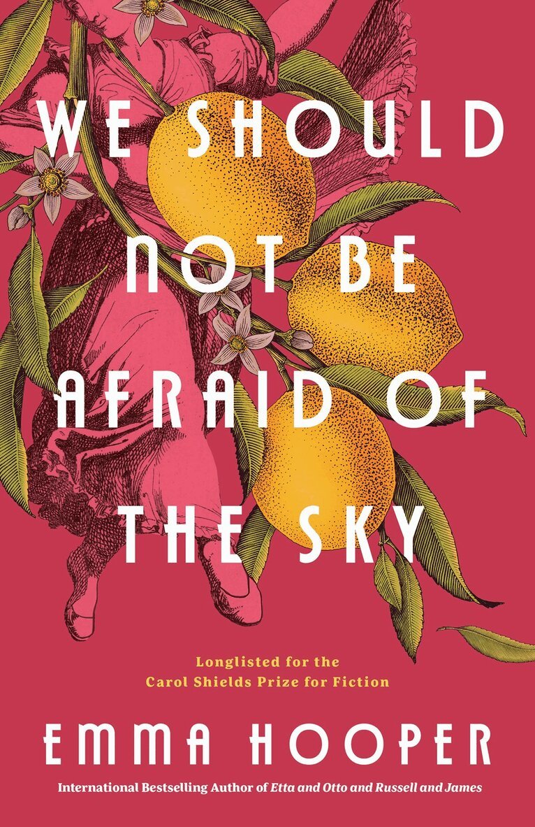 Emma Hooper - We Should Not Be Afraid of the Sky, Häftad