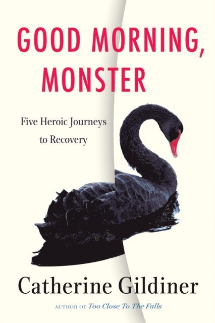 Catherine Gildiner - Good Morning, Monster, E-bok