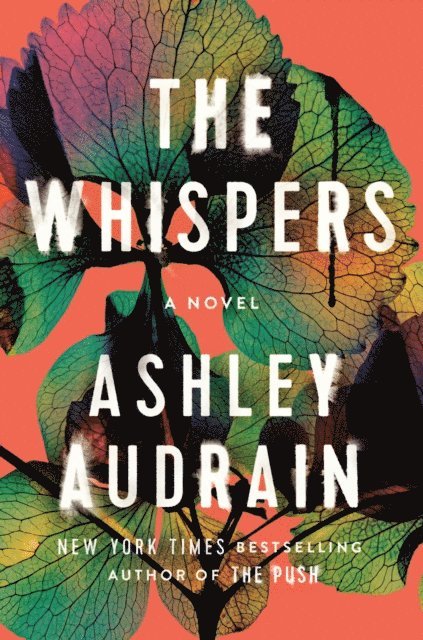 Ashley Audrain - Whispers, E-bok