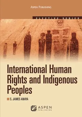 S. James Anaya - International Human Rights and Indigenous Peoples: 2010, Häftad. Tillgänglighet: Lägg i varukorg