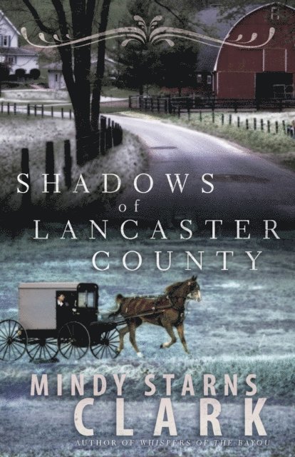 Mindy Starns Clark - Shadows of Lancaster County, E-bok
