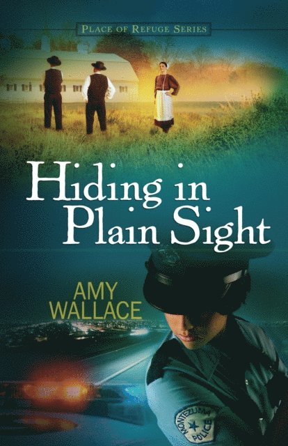 Amy Wallace - Hiding in Plain Sight, E-bok