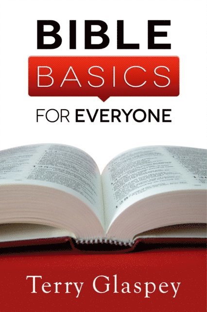 Terry Glaspey - Bible Basics for Everyone, E-bok