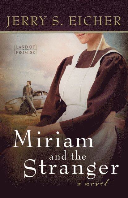 Jerry S. Eicher - Miriam and the Stranger, E-bok