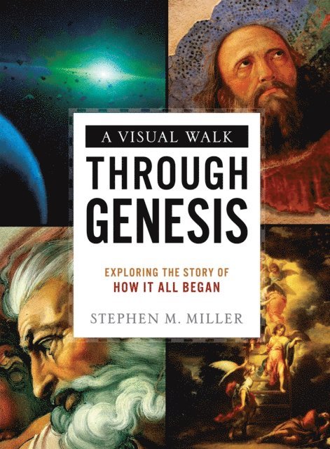 Stephen M. Miller - Visual Walk Through Genesis, E-bok