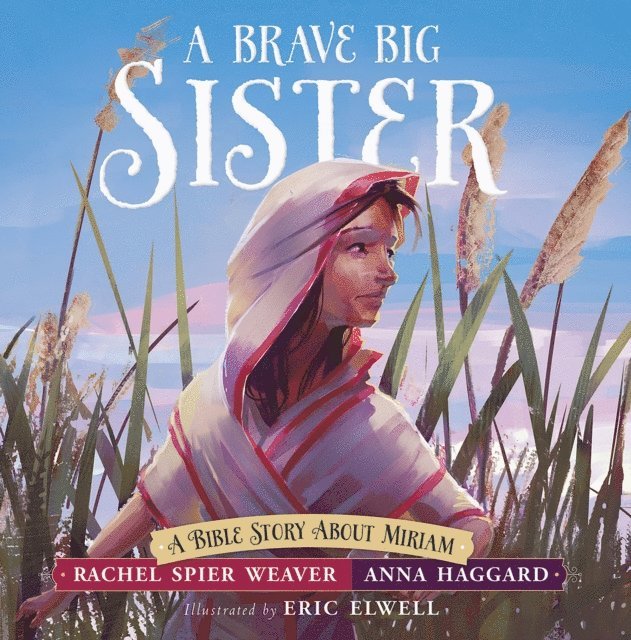 Anna Haggard, Rachel Spier Weaver - Brave Big Sister, E-bok