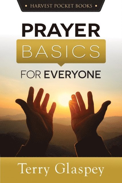 Terry Glaspey - Prayer Basics for Everyone, E-bok