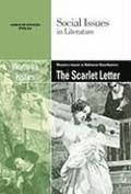 Women's Issues in Nathaniel Hawthorne's the Scarlet Letter