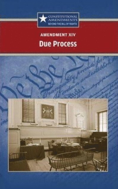 Carrie Fredericks - Amendment XIV: Due Process, E-bok