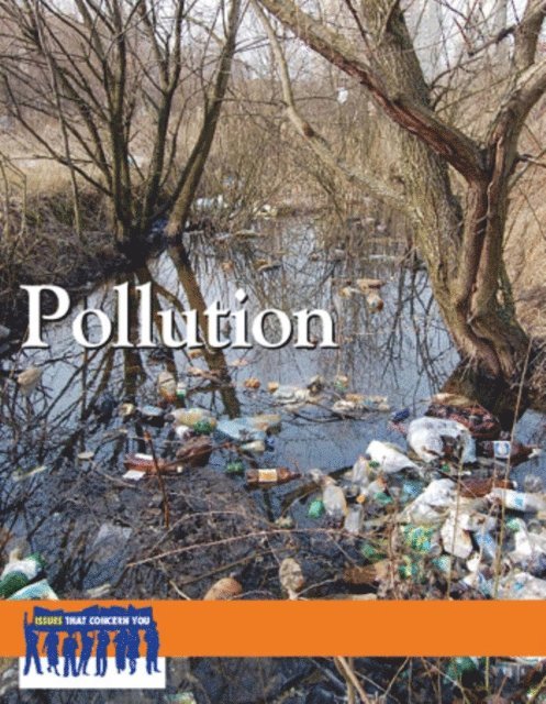 Cynthia A. Bily - Pollution, E-bok