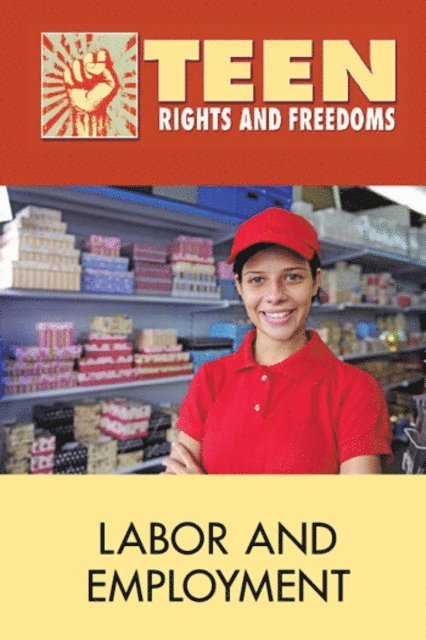Susan Musser, David M. Haugen - Labor and Employment, E-bok