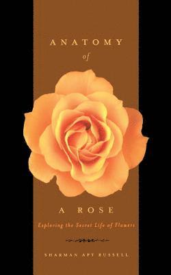 Sharman Russell - Anatomy Of A Rose, Häftad. Tillgänglighet: Lägg i varukorg