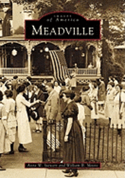 Anne Stewart, William B. Moore - Meadville, Häftad