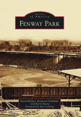 David Hickey, Raymond P. Sinibaldi - Fenway Park, Häftad