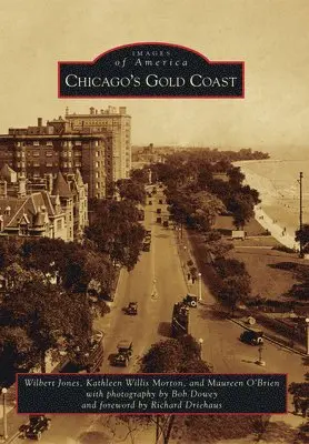 Wilbert Jones, Katie Willis-Morton - Chicago's Gold Coast, Häftad. Tillgänglighet: Lägg i varukorg