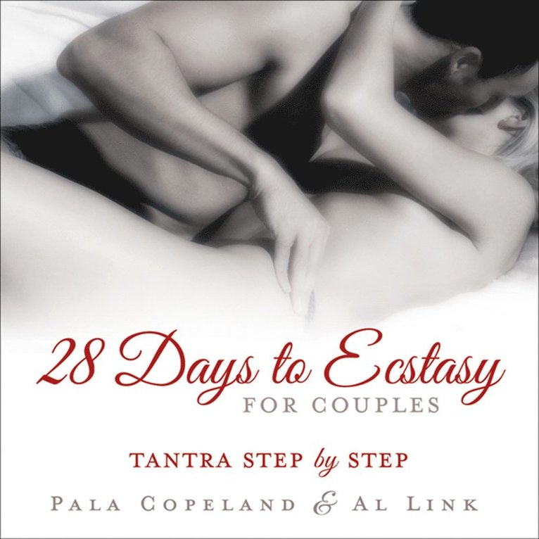 Al Link - 28 days to ecstasy for couples - tantra step by step, Häftad