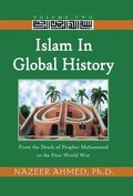 Islam in Global History