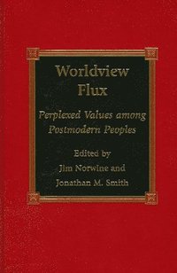 Worldview Flux