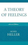 A Theory of Feelings