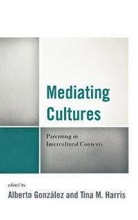 Mediating Cultures