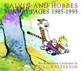 Calvin and Hobbes: Sunday Pages 1985-1995