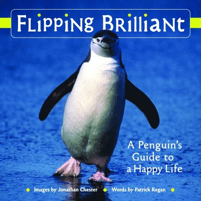Jonathan Chester - Flipping Brilliant, E-bok