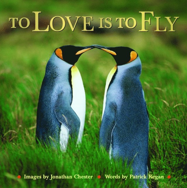 Patrick Regan, Jonathan Chester - To Love Is to Fly, E-bok