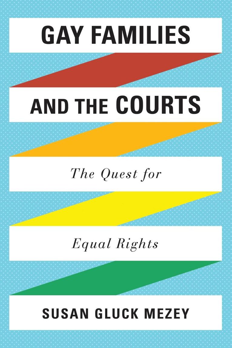 Susan  Gluck Mezey - Gay Families and the Courts, Häftad. Tillgänglighet: Lägg i varukorg