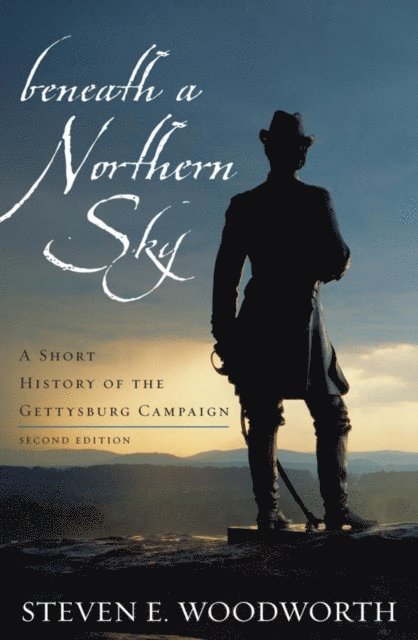 Steven E. Woodworth - Beneath a Northern Sky, E-bok