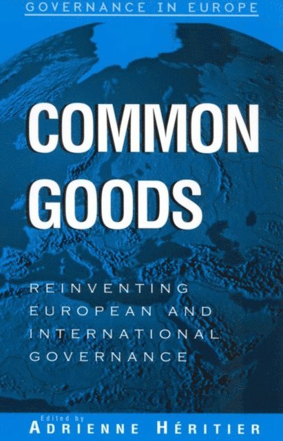 Adrienne Héritier - Common Goods, E-bok