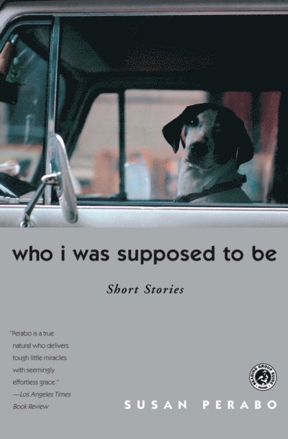 Susan Perabo - Who I was Supposed To Be, E-bok