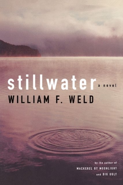 William F. Weld - Stillwater, E-bok