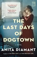 Last Days Of Dogtown