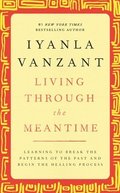 Living Through the Meantime