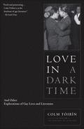Love in a Dark Time: And Other Explorations of Gay Lives and Literature