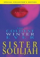 Coldest Winter Ever