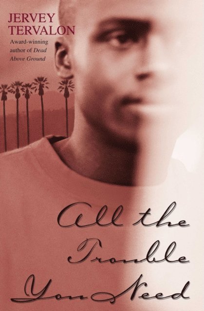 Jervey Tervalon - All the Trouble You Need, E-bok
